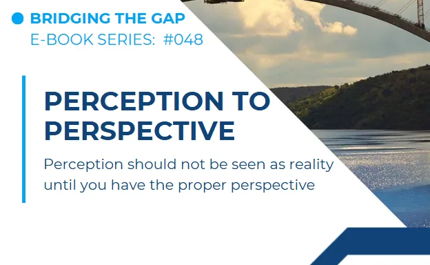 #048 From Perception to Perspective