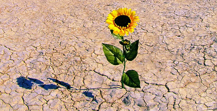 How to Thrive Through COVID-19 Shutdown