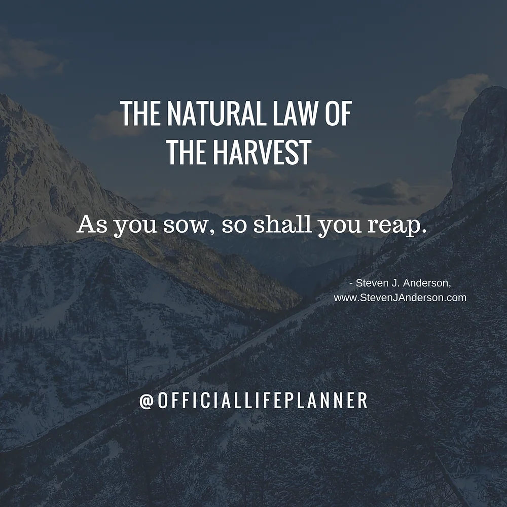 Natural Law of the Indivisible Whole