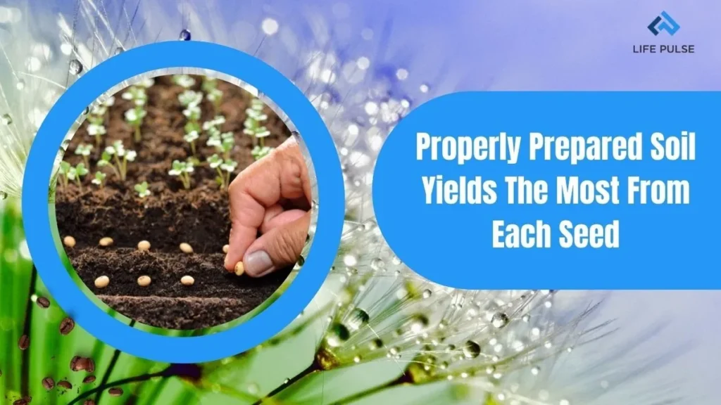WW #596 – Properly Prepared Soil Yields The Most From Each Seed
